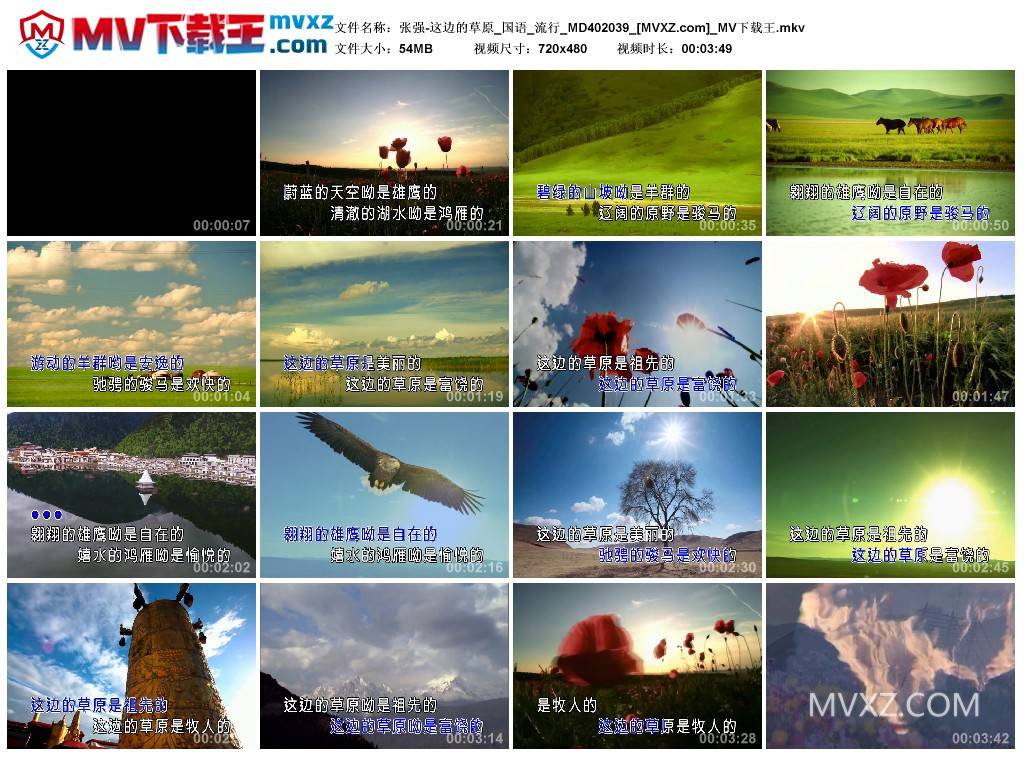 张强-这边的草原_国语_流行_MD402039